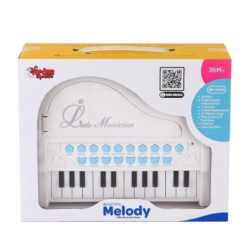 Bao-1505a Mikrofonlu Mini Piano 24 Tuş Mp3 Çalar
