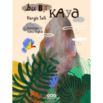 Bu Bir Kaya