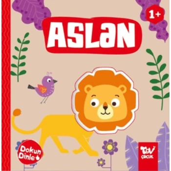 Dokun Dinle Aslan