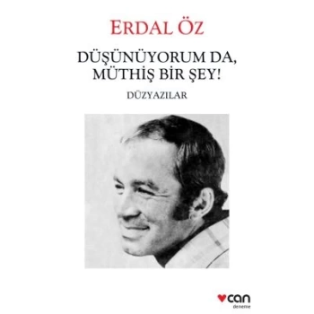Düşünüyorum da Müthiş Birşey - Düzyazılar