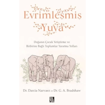 Evrimleşmiş Yuva