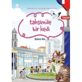 İstanbulun Acayip Hayvanları Taksimde Bir Kedi