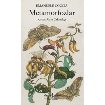 Metamorfozlar