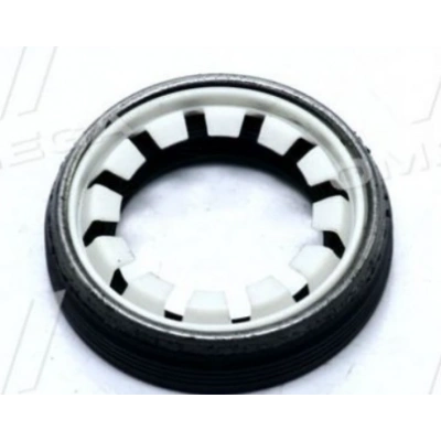 SUCCE AKS KECESİ SAĞ