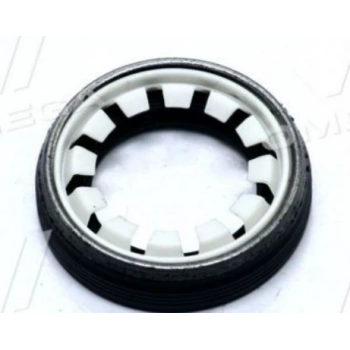 SUCCE AKS KECESİ SAĞ