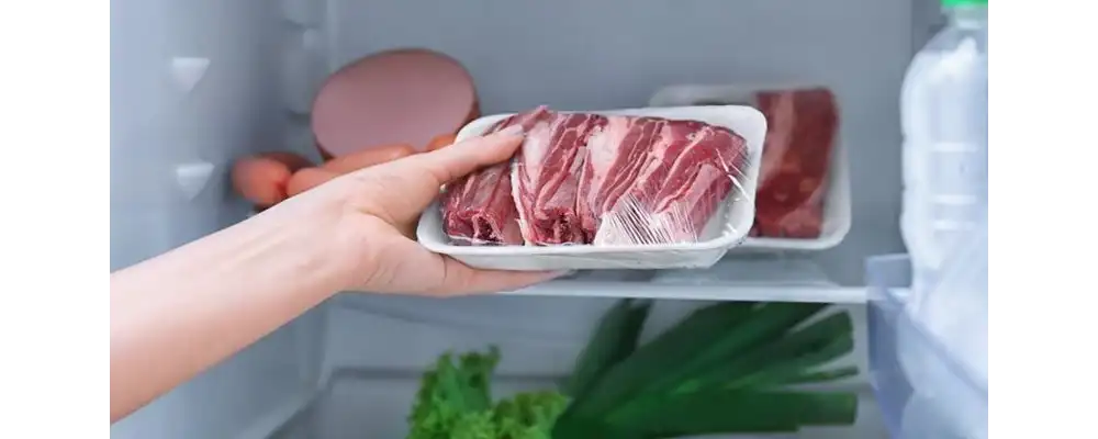 İleri Gıda Saklama Teknolojileri