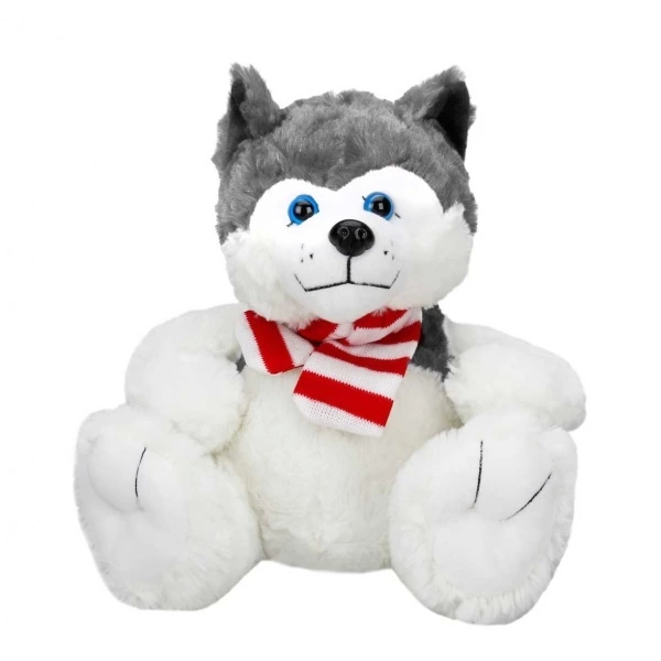 PELUS OTURAN KOPEK HUSKY ATKILI PELUS OTURAN KOPEK HUSKY ATKILI