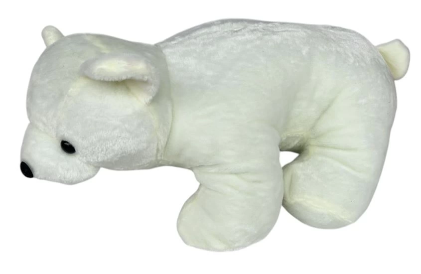 PELUS KUTUP AYISI PELUS KUTUP AYISI