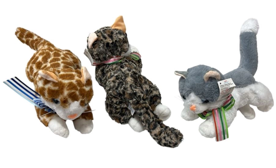 PILLI KEDI PELUS PILLI KEDI PELUS