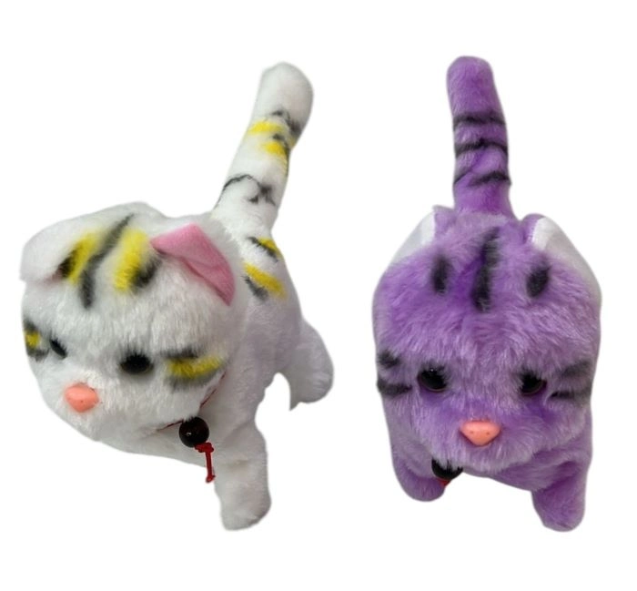PILLI YURUYEN KEDI
