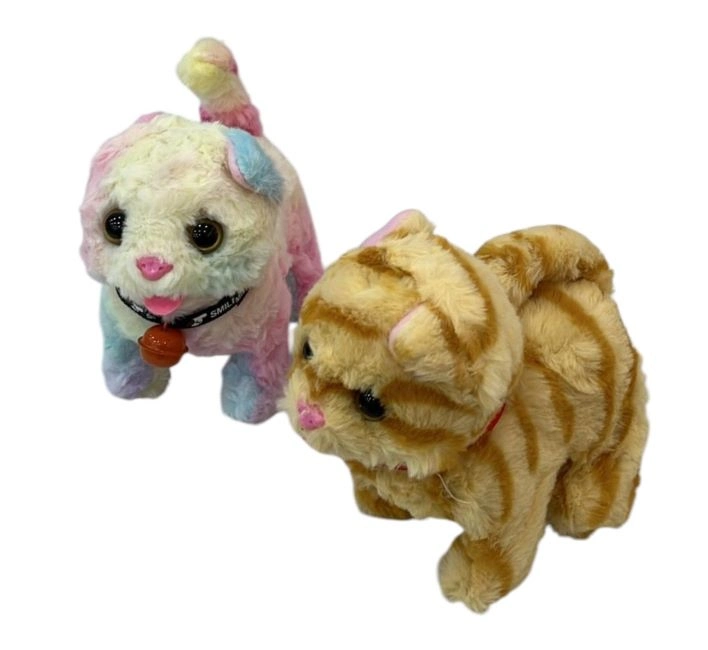TASMALI PILLI YURUYEN KEDI