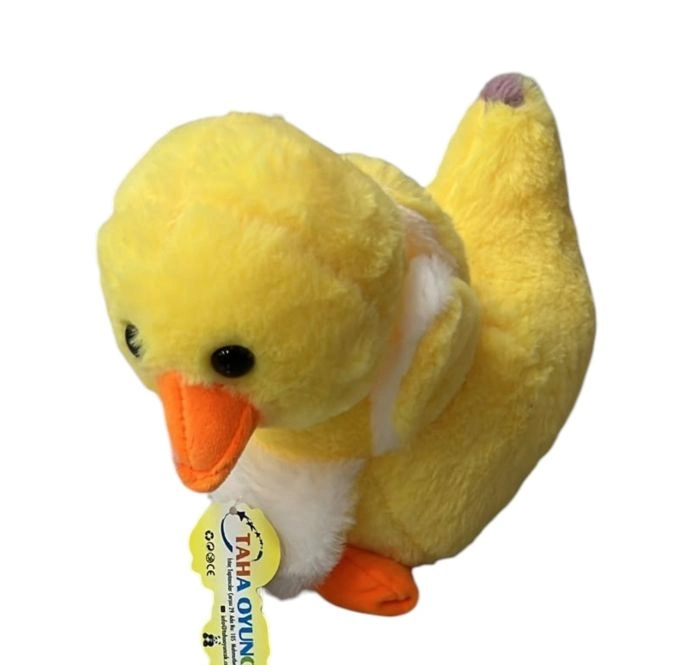 PELUS ORDEK PELUS ORDEK