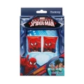 25X15 SPIDERMAN KOLLUK