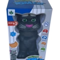 PILLI TOM KEDI