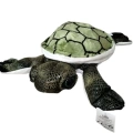 PELUS CARETTA  KAPLUMBAGA