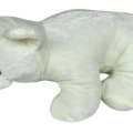 PELUS KUTUP AYISI