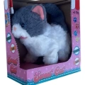 PELUS PILLI KEDI