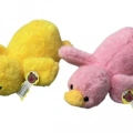 PELUS ORDEK ORTA BOY