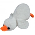PELUS ORDEK
