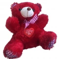 30CM KIRMIZI PELUS AYICIK