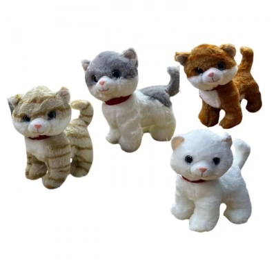 PELUS MIYAVLAYAN AYAKTA KEDI