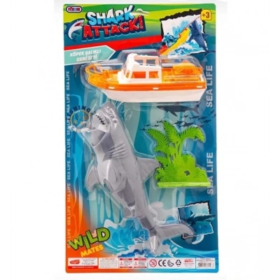 KARTELADA KOPEKBALIKLI GEMI