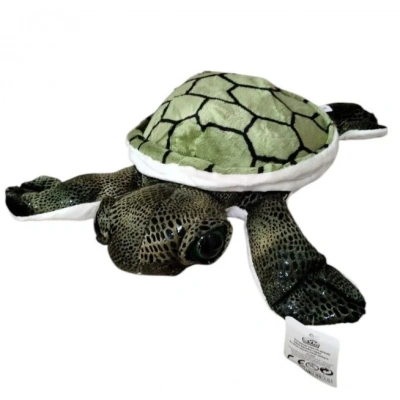 PELUS CARETTA  KAPLUMBAGA