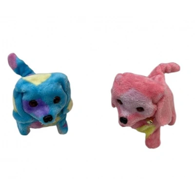 DALMACYALI PILLI YURUYEN KOPEK