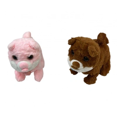 PILLI TASMALI YURUYEN KOPEK