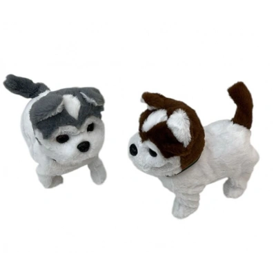 PILLI BUYUK YURUYEN KOPEK