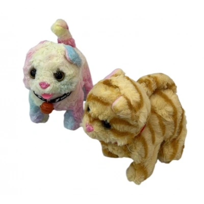 TASMALI PILLI YURUYEN KEDI