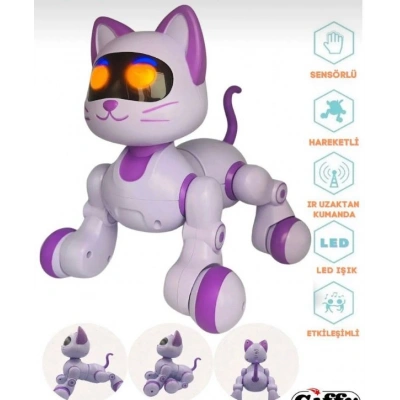 ROBOT KEDI KUMANDALI