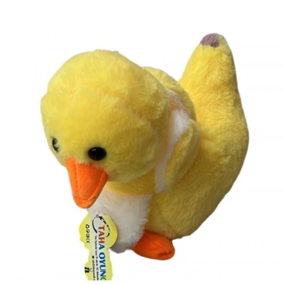 PELUS ORDEK