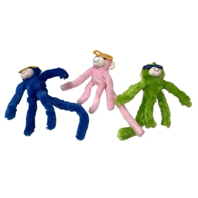 دماغ الضفدع