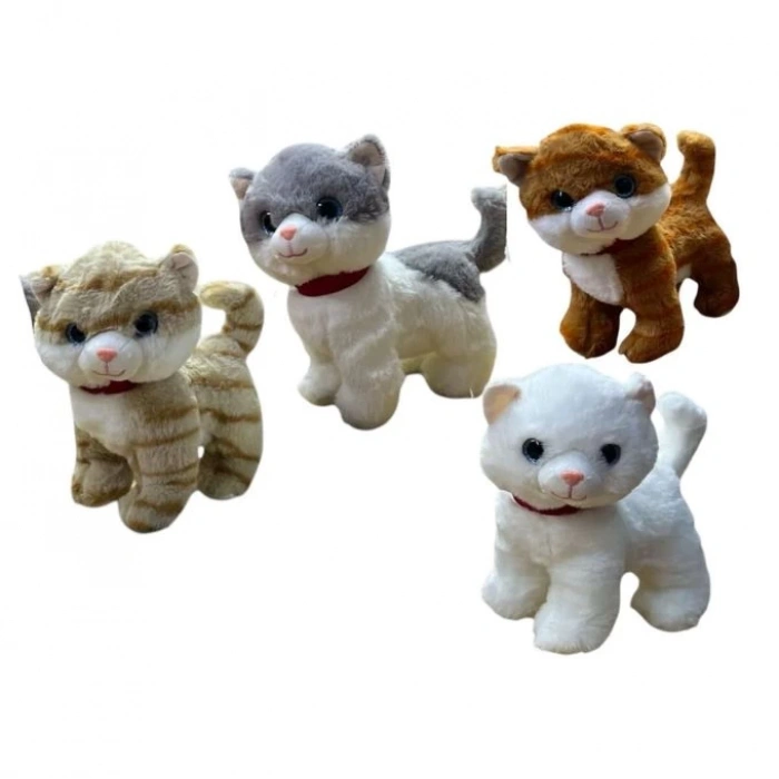 PELUS MIYAVLAYAN AYAKTA KEDI