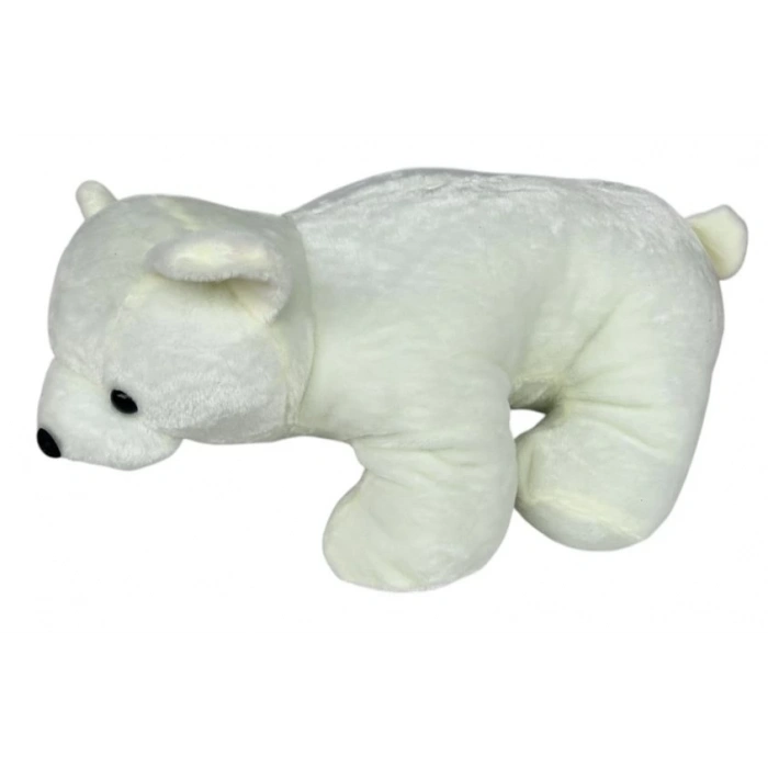 PELUS KUTUP AYISI