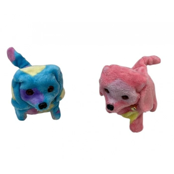 DALMACYALI PILLI YURUYEN KOPEK