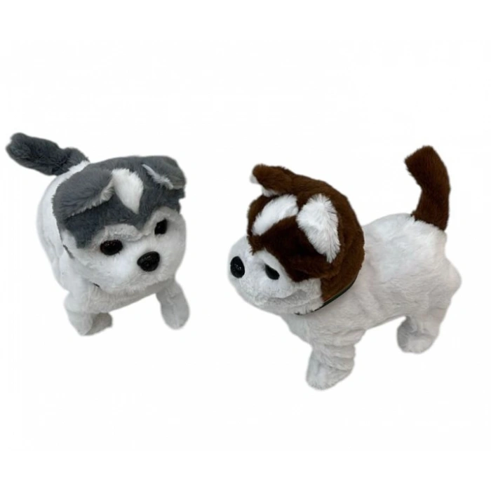 PILLI BUYUK YURUYEN KOPEK