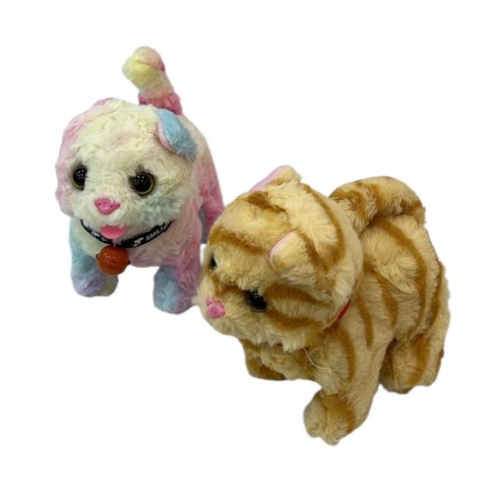 TASMALI PILLI YURUYEN KEDI