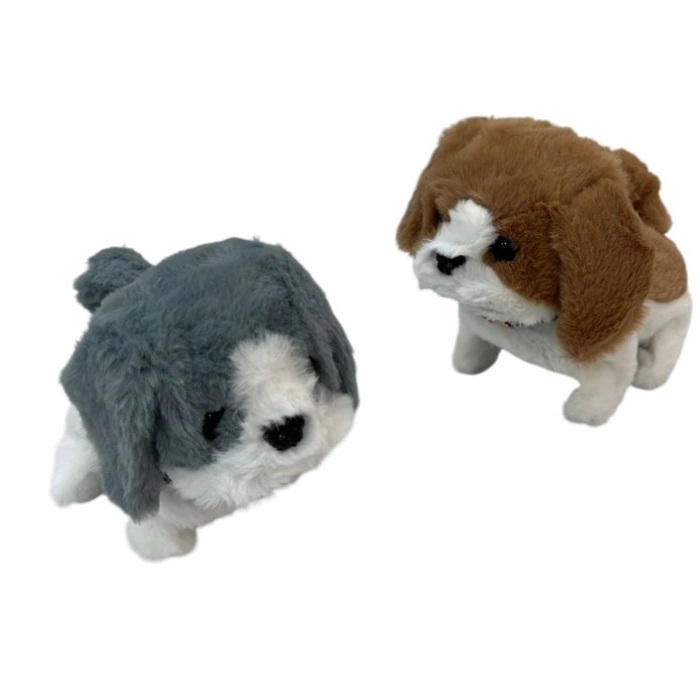 PILLI BUYUK YURUYEN KOPEK