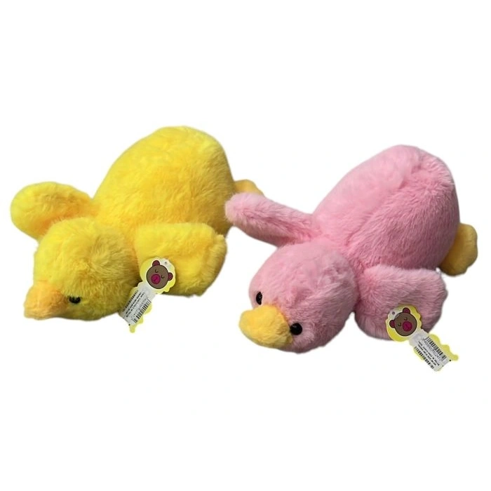 PELUS ORDEK ORTA BOY
