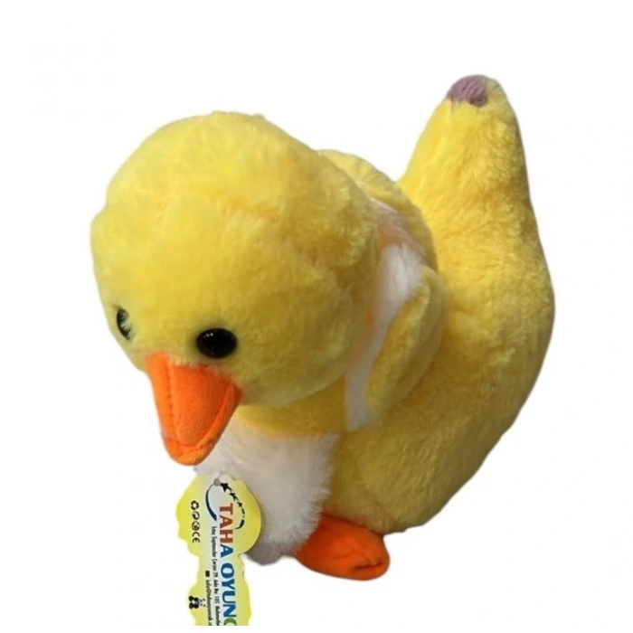 PELUS ORDEK