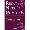 İnkılap Çalıkuşu