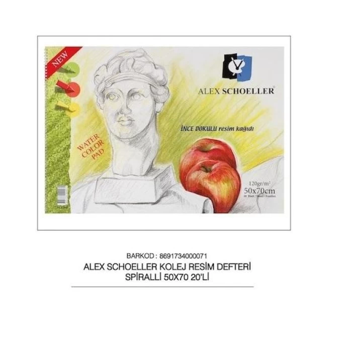 Alex Kolej Resim Defteri 50x70 Spiralli 120 Gr 20 Li