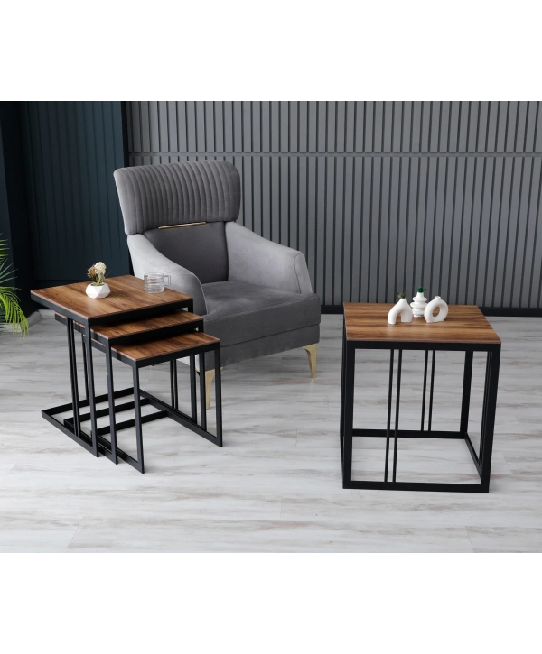 Mercan Orta Sehpa- Ceviz