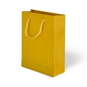 20x25x8 Karton Çanta 24lü -Altın-