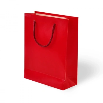 20x25x8 Karton Çanta 24lü -Kırmızı-