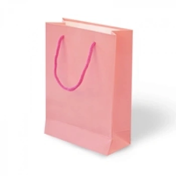 20x25x8 Karton Çanta 24lü -Pembe-