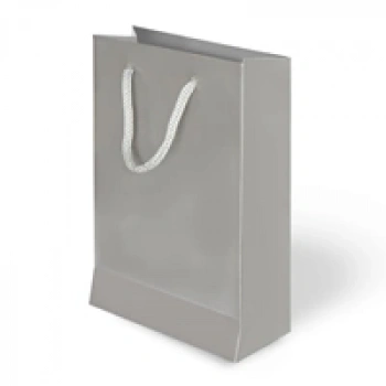 26x40x8 Karton Çanta 10lu -Gümüş-