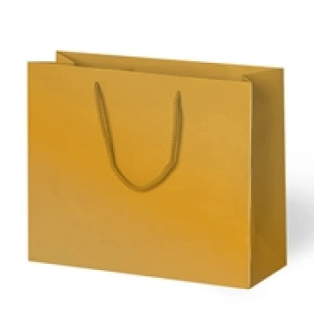 42x38x12 Karton Çanta 10lu -Altın-